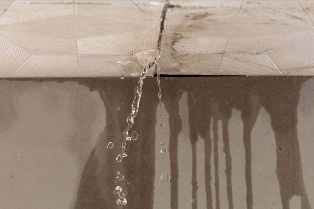 Professional Water Damage Repair technician working in Aquilla, TX